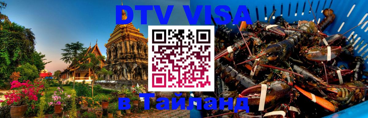 Сколько стоит DTV виза — актуальные цены, оформление даже без документов - Сызрань  09.01.2026 